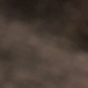 Meet your Posher, Dylan